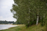 Naturbad Luppa, FKK-Bereich, Liegewiese© MDM/Katja Seidl