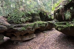 Felslabyrinth Langenhennersdorf, bemooste Felsen© MDM/Bea Wölfling