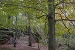 Felslabyrinth Langenhennersdorf, geschützter Platz© MDM/Bea Wölfling