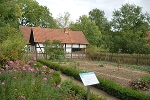 Freilichtmuseum Diesdorf: ländlicher Garten© MDM / Konstanze Wendt