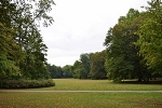 Clara-Zetkin-Park, Wiese© MDM/Katja Seidl