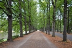 Clara-Zetkin-Park, Max-Reger-Allee© MDM/Katja Seidl