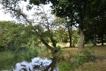 Clara-Zetkin-Park, Inselteich© MDM/Katja Seidl