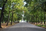 Clara-Zetkin-Park, Anton-Bruckner-Allee© MDM/Katja Seidl