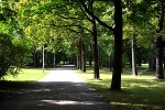 Clara-Zetkin-Park, an der F.-Lassalle-Str.© MDM/Katja Seidl