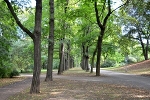 Clara-Zetkin-Park, Johannaparkweg© MDM/Katja Seidl