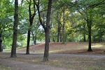 Clara-Zetkin-Park, nahe der F.-Lassalle-Str.© MDM/Katja Seidl