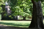 Johannapark, Lutherkirche© MDM/Katja Seidl