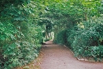 Stadtpark, Blick nach Norden© MDM / Konstanze Wendt