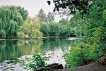 Stadtpark, Pfefferteich nach Nordwest© MDM / Konstanze Wendt