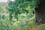 Stadtpark und Burggarten Salzwedel© MDM / Konstanze Wendt