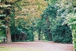 Stadtpark und Burggarten Salzwedel, Blick nach Norden© MDM / Konstanze Wendt