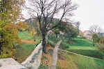 Berggarten mit Burgmauer, Blick nach Westen© MDM / Konstanze Wendt
