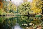 Schlosspark, Teich© MDM / Konstanze Wendt