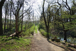 Weg im Park mit kleinem See (r.)© MDM / Kunze