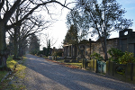 Südfriedhof Leipzig, Allee, Grabmale© MDM/Katja Seidl