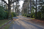 Südfriedhof Leipzig, Allee© MDM/Katja Seidl