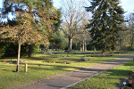 Südfriedhof Leipzig, Grabstellen© MDM/Katja Seidl