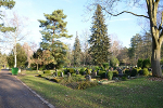 Südfriedhof Leipzig, Gräber© MDM/Katja Seidl