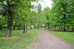 Alter Johannisfriedhof Leipzig, historischer Hauptweg© MDM/Katja Seidl
