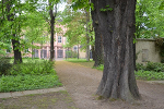 Alter Johannisfriedhof Leipzig, Blick zum Grassimuseum© MDM/Katja Seidl