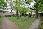 Alter Johannisfriedhof Leipzig, Lapidarium, Blick zum Eingang Prager Straße© MDM/Katja Seidl