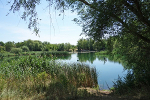 Landschaftssee Schwanenteich© MDM / Anke Kunze