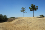 Rast- und Spielplatz© MDM / Anke Kunze