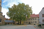 Domplatz am Dom nach Süden© MDM / Konstanze Wendt