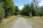 Zugang Waldweg mit totem Gleis© MDM / Anke Kunze