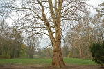 Rittergut Wittenmoor, Landschaftsgarten nach Westen© MDM / Konstanze Wendt