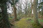 Rittergut Wittenmoor, Friedhof© MDM / Konstanze Wendt