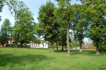 Gesellschaftshaus Magdeburg und Klosterbergarten© MDM / Konstanze Wendt