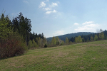 Wiese bei der Finnhütte© MDM / Anke Kunze