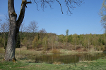 Teich bei der Finnhütte© MDM / Anke Kunze