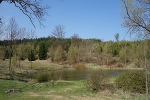 Blick von der Finnhütte zum Teich© MDM / Anke Kunze