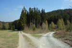 Weggabelung bei der Finnhütte© MDM / Anke Kunze