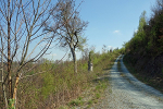 Waldweg© MDM / Anke Kunze