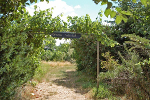 Kloster Posa, Weinhof© MDM / Konstanze Wendt