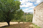 Kloster Posa, Obstwiesen© MDM / Konstanze Wendt