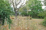 Kloster Posa, Garten© MDM / Konstanze Wendt