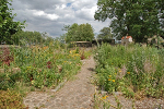 Kloster Posa, Garten© MDM / Konstanze Wendt