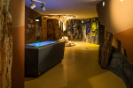 Riesentropfstein und Molekültisch im Erlebnismuseum Grottoneum© Matthias Frank Schmidt