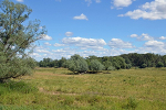 Sieglitzer Berg, Elbaue© Konstanze Wendt