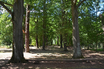 Sieglitzer Berg, Blickachse zur ehemaligen Faunstatue© Konstanze Wendt