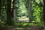 Sieglitzer Berg, Blickachse zur ehemaligen Faunstatue© Konstanze Wendt