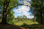 Sieglitzer Berg, Elbaue© Konstanze Wendt