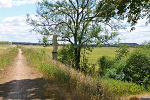 Sieglitzer Berg, Richtung Vockerode© Konstanze Wendt