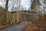 Bodetal, Wanderweg bei Treseburg© MDM / Konstanze Wendt