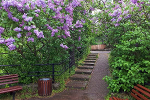 Zoo Halle, Aussicht© MDM / Konstanze Wendt